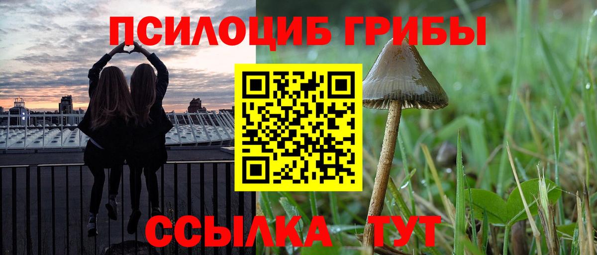 Галлюциногенные грибы прущие грибы  Вход с VPN  Димитровград 