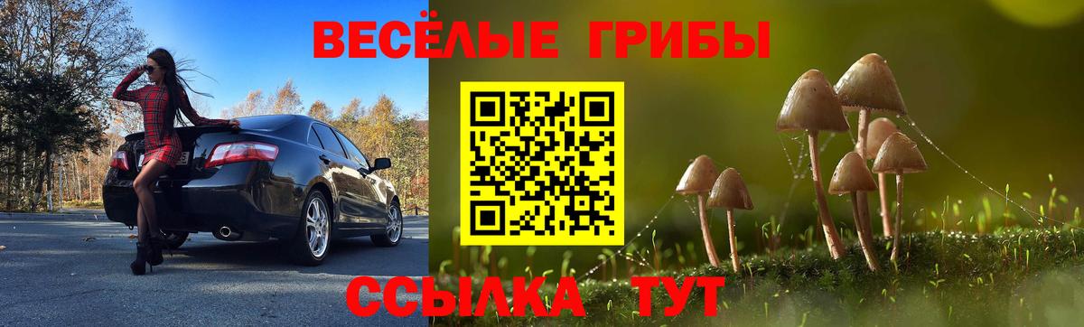 Псилоцибиновые грибы мухоморы Димитровград